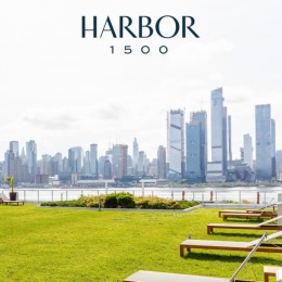 a lawn near a body of water and a city